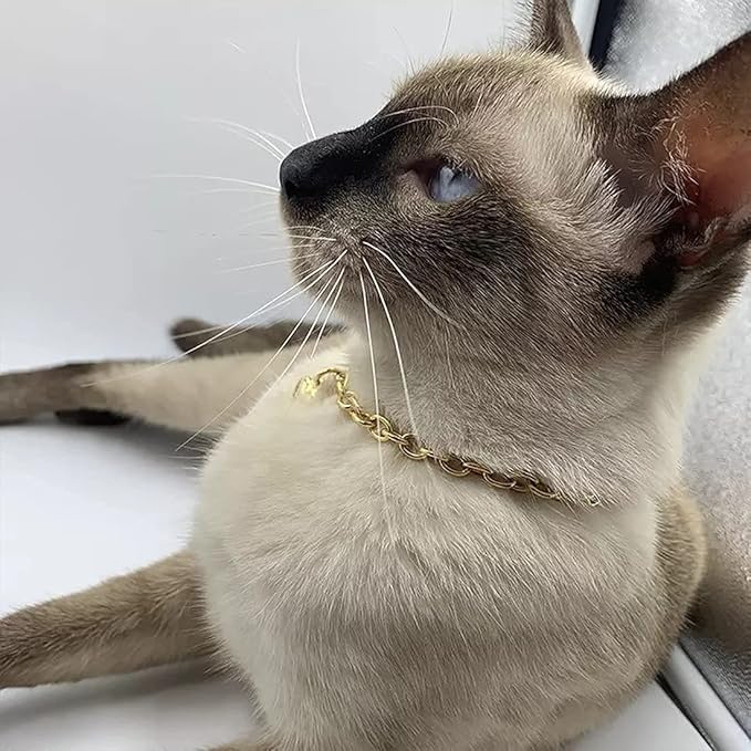 HOWWFALY Dog Collar and Cat Chain Necklace Stainless Steel Adjustable 18K Gold Heart-Shaped Necklace for Small Pets Cats Kitten Puppy (Gold, 12 inch)