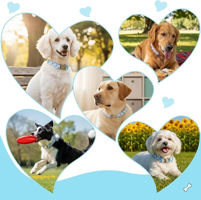 Cotton Collar for Dog，Soft Adjustable Dog Collars for Extral Small Dogs, Cute Dog Collar with Blue & White Plaid for Small Medium Large Dogs, Perfect for Girl or Boy Dog Collars-XS