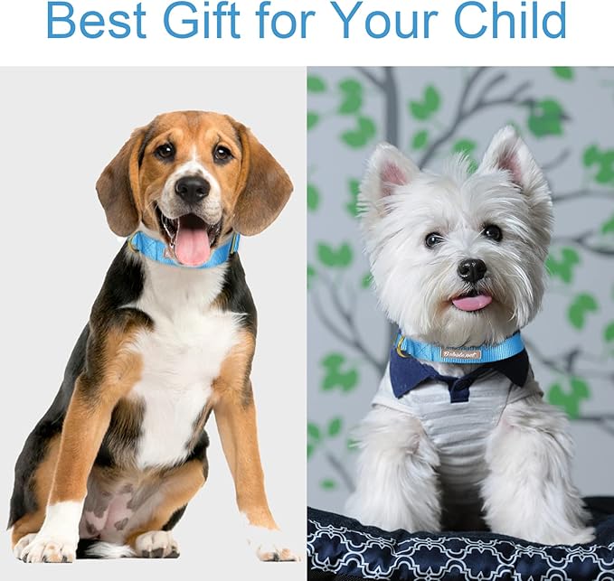 Nylon Dog Collar - Adjustable Blue Soft Webbing Dog Collars for Small Medium Large Dogs Boy Girl Puppy Collar with Safety Metal Buckle S