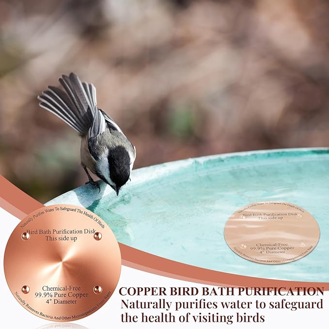 2 Pcs Bird Bath Copper Disk, 0.6mm Thick Reinforced 99.99% Pure Copper Birdbath Purification Disk, with 4 Point Support for Outdoor Birdbaths Bowls Cleaner, 4 Inch (Classic)