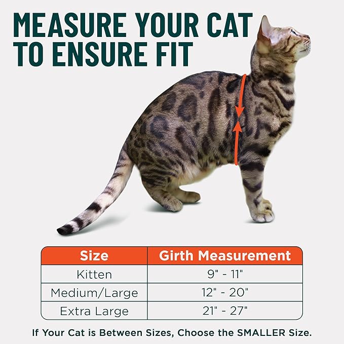 Houdini™ Escape Proof Kitten Harness and Leash Set by OutdoorBengal – Extra Small – Comfy, Adjustable and Lightweight - Houdini Cat Harness Escape Proof for Small Cats + Cat Leash 6ft (Pink, XS)