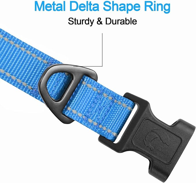 Joytale Reflective Dog Collar, Soft Neoprene Padded, Metal D-Ring, Nylon Pet Collar Adjustable for Large Dogs, Sky Blue, L