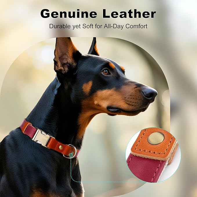 Plutus Pet Genuine Leather & Hemp Dog Collar – Adjustable Heavy Duty Pet Collar with Quick Release Metal Buckle, Soft & Stylish for Puppy and Small, Medium, Large Dogs (Burgundy, M)