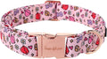 Unique style paws Valentine's Dog Collar Metal Buckle Puppy Collar XO Red Lips for Small Medium Large Boys Girls Dogs Wedding