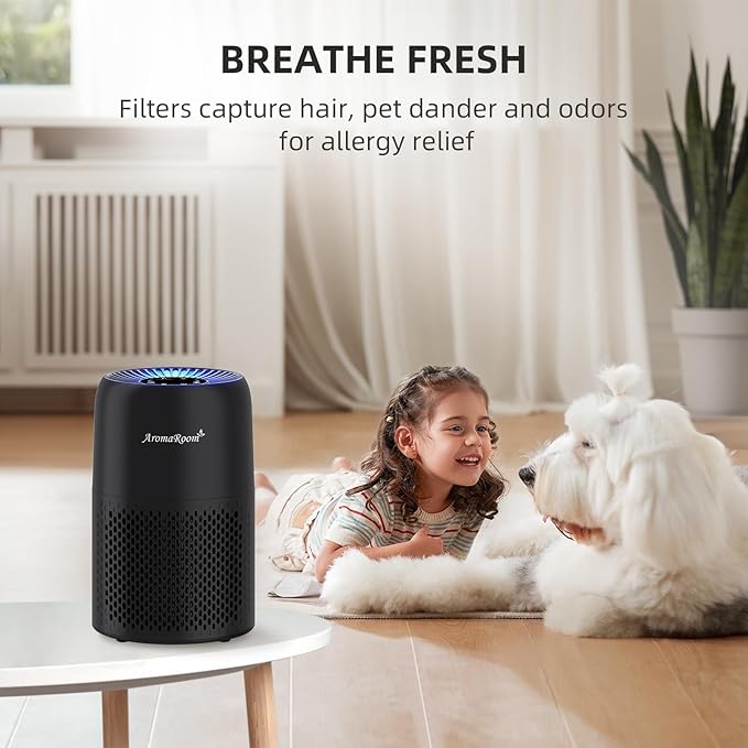 Air Purifiers for Home Bedroom, AromaRoom H13 HEPA Air Purifier Filter for Allergies, Pollen, Smoke, Dusts, Pets Dander, Odor, Hair, 22dB Quiet Air Cleaner for Room, Office, Dorm, AP100-B (Black)