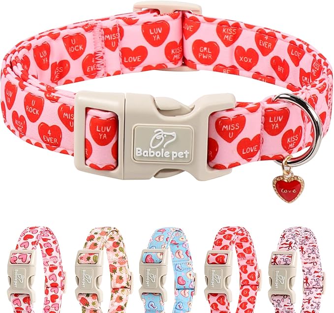Valentines Dog Collar for Small Dogs - Valentine Red Conversation Hearts Dog Collars, Love Boy Girl Dogs Collars, Lightweight Adjustable Cute Puppy Collar with Quick-Release Buckle S