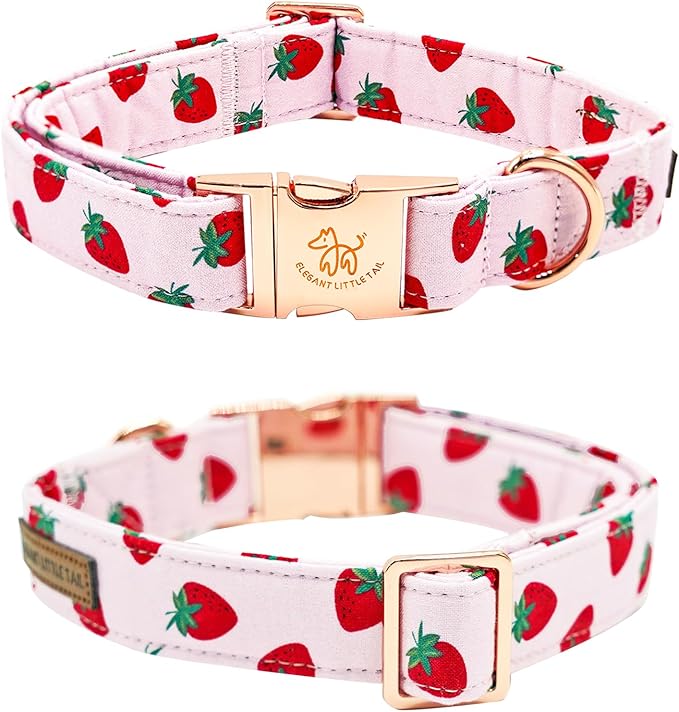 Elegant little tail Dog Collar, Strawberries Print Pet Collar Summer Dog Collar Durable Metal Buckle Dog Collars Cotton Pet Adjustable Dog Collars for Medium Dogs