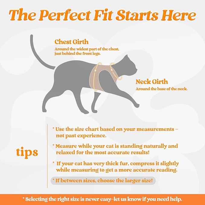 rabbitgoo Cat Harness and Leash Set for Walking Escape Proof, Adjustable Soft Kittens Vest with Reflective Strip for Cats, Comfortable Outdoor Vest,Light Orange,M