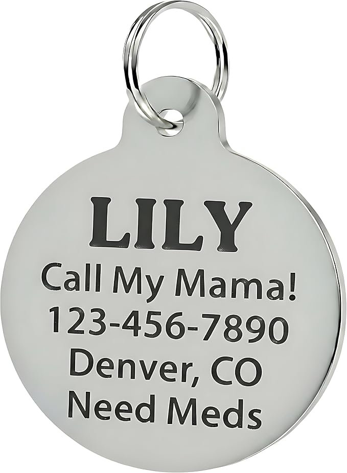 Bad Tags Personalized Dog and Cat ID Tags in 25+ Designs and 2 Sizes - 5 Lines of Custom Engraved Text - Funny Cute Personalized Pet Tags (Invader of Personal Space - Pink, Small (1 inch))