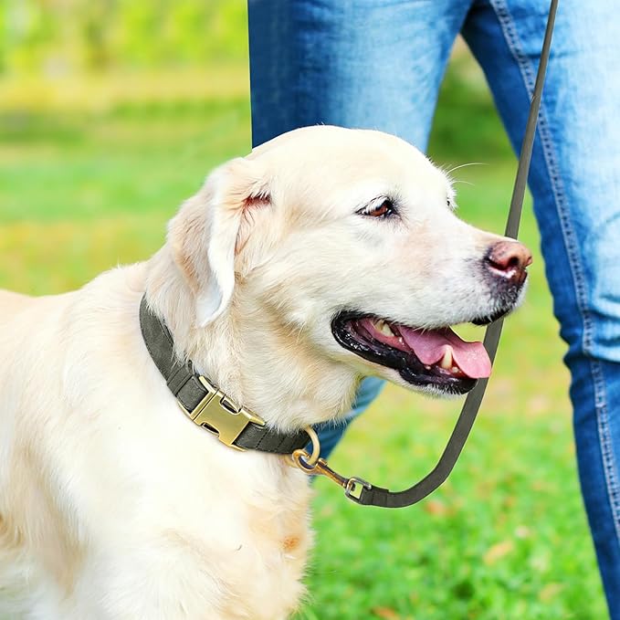 Genuine Leather Dog Collar - Adjustable Pet Collar with Quick Release Metal Buckle, Soft Skin Friendly Real Leather Collar for Small, Medium, Large Dogs (Dark Green Collar + Rope, M：Fit 12-20" Neck)