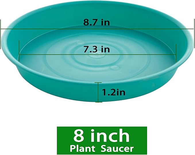 6 Pack of 8 inch Plant Saucer Blue, Plastic Plant Water Tray 8 inch Round, Flower Plant Saucers for Indoors, Dlant Dishes Saucer for Planter 7"/8" (8", Teal)