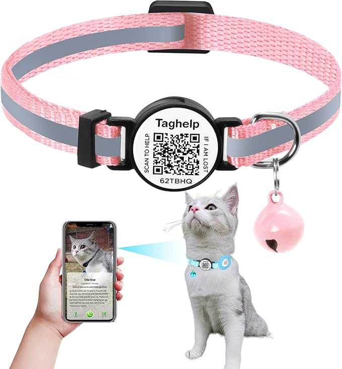 Cat Collar with Name Tag Breakaway: Kitten Collars for Girl Boy Cats with Smart Name Tags, Ultra Soft & Elastic Adjustable (7"-12") Cat Collar with Break Away Safety Buckle (Pink)