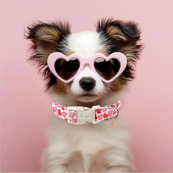 Valentines Dog Collar for Small Dogs - Pink Valentine Hearts Dog Collars, Girly Love Female Dogs Collars, Lightweight Adjustable Cute Puppy Collar with Quick-Release Buckle S