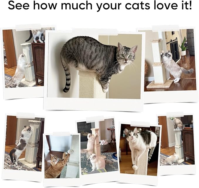 AGYM Cat Scratching Post, 32 Inch Cat Scratching Posts for Large Cats, Scratching Posts for Indoor Cats Adults, Cat Scratch Post with Nature Sisal, Full Gray