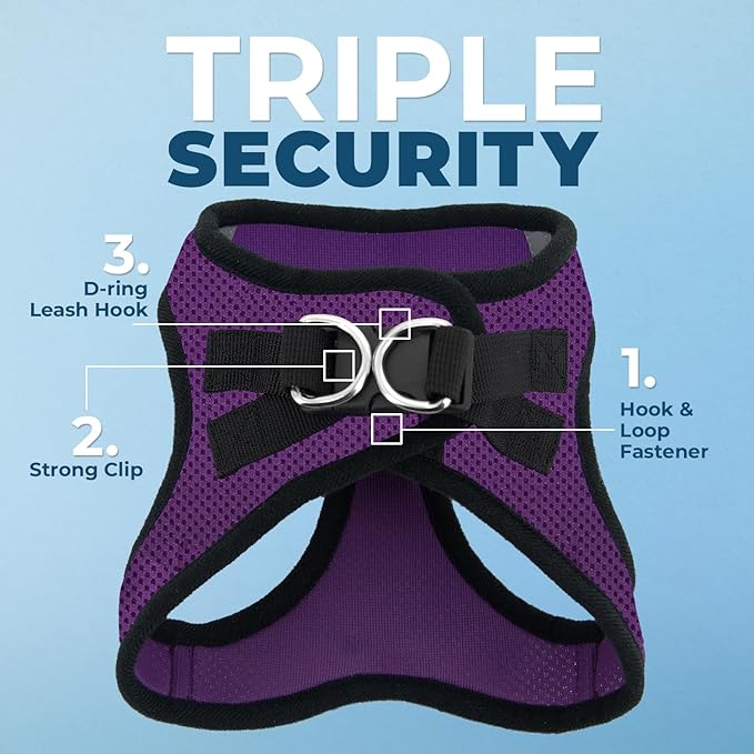 Best Pet Supplies Voyager Step-in Air All Weather Mesh Harness and Reflective Dog 5 ft Leash Combo with Neoprene Handle, for Small, Medium and Large Breed Puppies - Purple/Black Trim, XX-Small