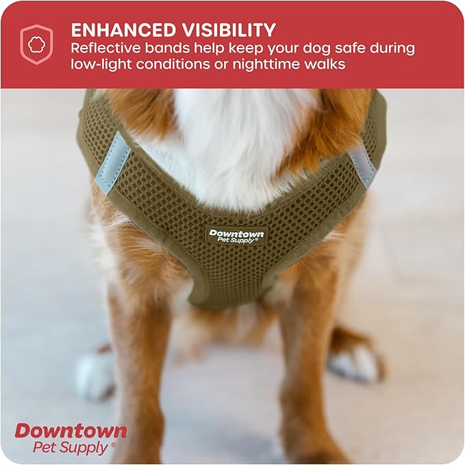 Downtown Pet Supply Step in Dog Harness for Teacup Dogs & Cats No Pull, XX-Small, Hunter Green - Adjustable Harness with Padded Mesh Fabric and Reflective Trim - Buckle Strap Harness for Dogs