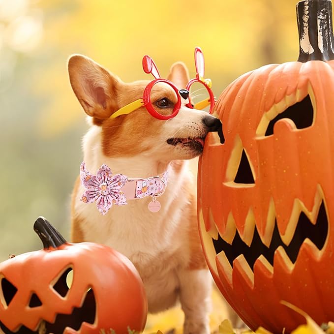 Halloween Dog Collar With Flower, Pink Puppy Collar With Adjustable Metal Buckle, Fancy Bowtie Gift for Girl Boy Dog, M