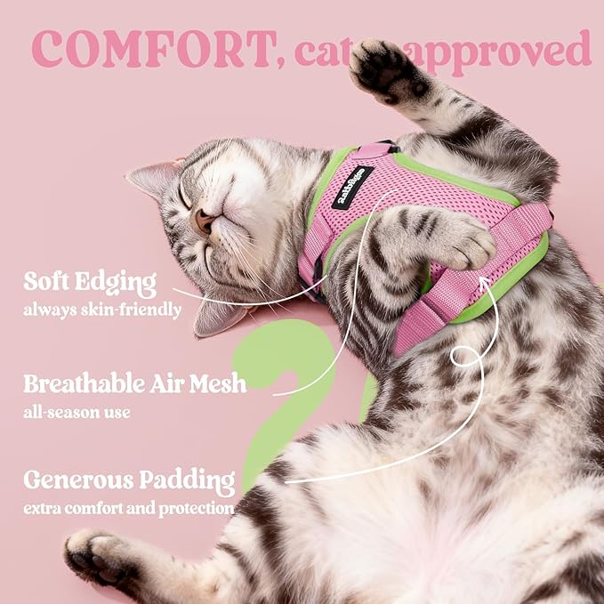 rabbitgoo Cat Harness and Leash for Walking, Escape Proof Soft Adjustable Vest Harnesses for Cats, Easy Control Breathable Reflective Strips Jacket, Pink&Light Green, XS