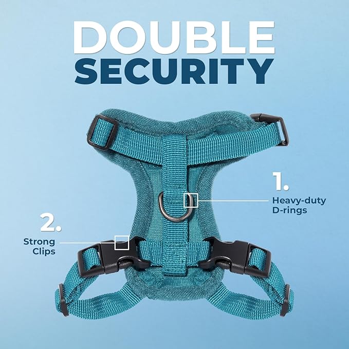 Voyager Escape-Proof Step-in Lock Cat Harness & 5ft Neoprene-Handle Leash Set All-Weather Mesh with Reflective Stitching for Small to Large Cats by Best Pet Supplies, Turquoise, S