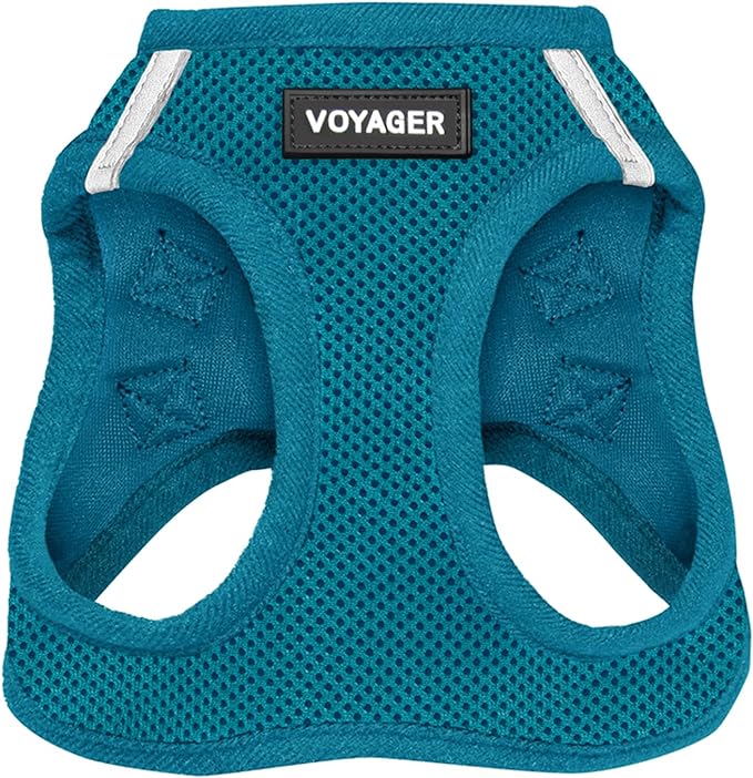 Best Pet Supplies Voyager Step-in Air Harness - All Weather Mesh, Reflective, No Pull Harness for Dogs, Cats - Secure with Hook & Loop Fastener, Buckle, Double D-Rings - Turquoise, L