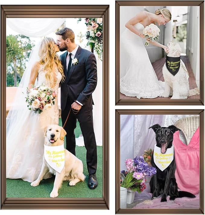 SZEE Wedding Decorations for Pets, 2 Pack My Humans are Getting Married Dog Bandanas, Engagement Party Decorations, Wedding or Engagement Gift for Couples, Dog Wedding Bandanas (Gold, XL)
