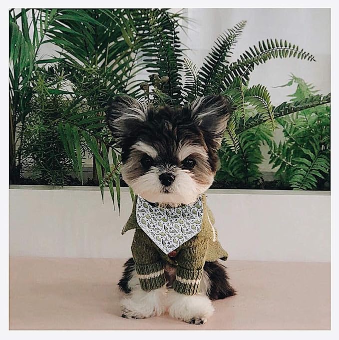 ARING PET Dinosaur Dog Bandanas, Summer Kerchief Triangle Bibs Scarf for Puppy Small Medium Large Boy Girl Dogs Cats-L