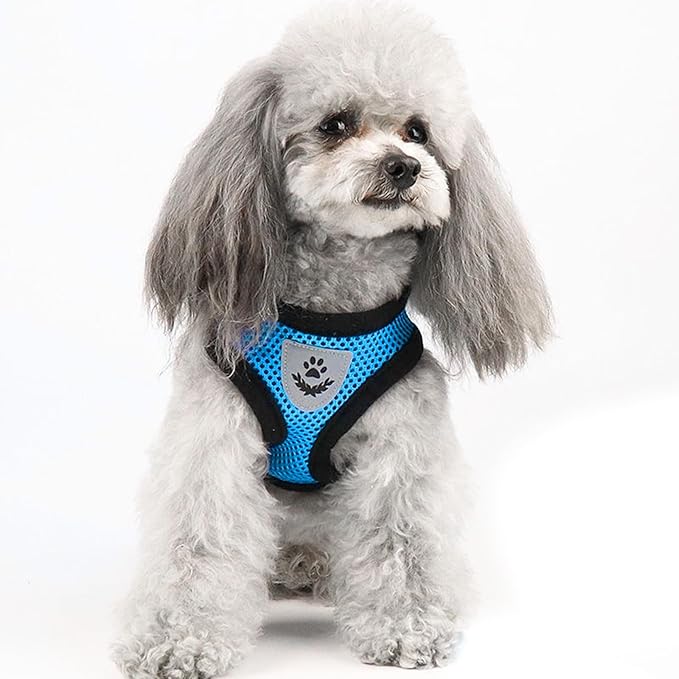 shudyear Summer cat Chest Harness and Leash, Anti-Escape Adjustable Soft mesh cat Leash and Chest Harness Set for All Types of Cats cat Vests (Size S, Sky Blue)