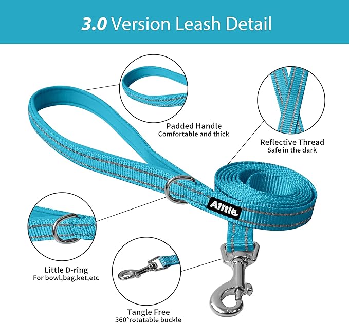 AIITLE Comfortable Dog Harness and Leash Set for Walking - Step in Vest Harness,Reflective Bands, Adjustable No Pull Puppy Essentials, for Small Dogs and House Cats Hot Pink XS