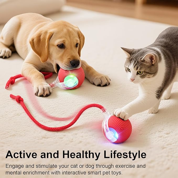 Interactive Electric Automatic Rolling Moving USB Rechargeable Self Activated Play Stimulation Toy Smart Chase Teaser Ball with Speedy Tail Rope for Bored Adult Indoor Cats and Dogs, Green