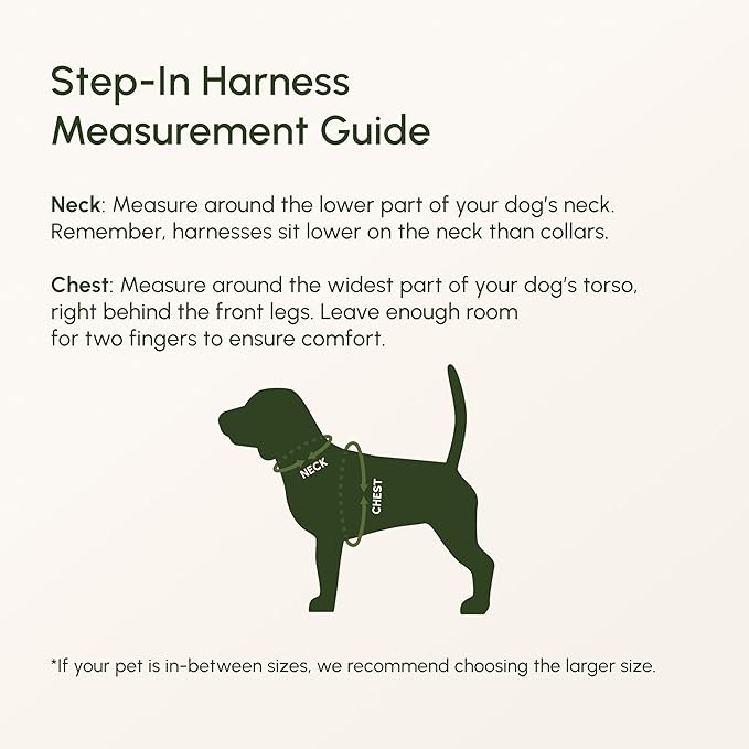 Downtown Pet Supply Step in Dog Harness for Medium Dogs - Adjustable, Escape Proof Dog Harness with Reflective Trim - All-Weather, Fast-Drying Padded Mesh Fabric - Lilac, M