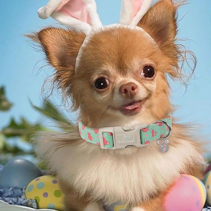 Easter Dog Collar for Small Dogs - Green Bunny Egg Dog Collars, Cute Boy Girl Dogs Easter Collar, Adjustable Spring Holiday Pet Collars with Quick Release Buckle XS