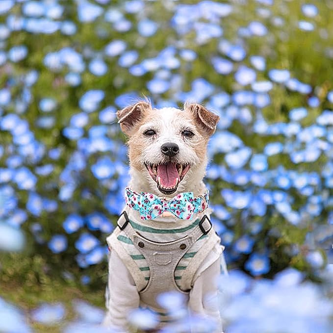 Elegant little tail Dog Collar, Rose Print Pet Collar Summer Dog Collar Durable Metal Buckle Dog Collars Cotton Pet Adjustable Dog Collars for X-Small Dogs