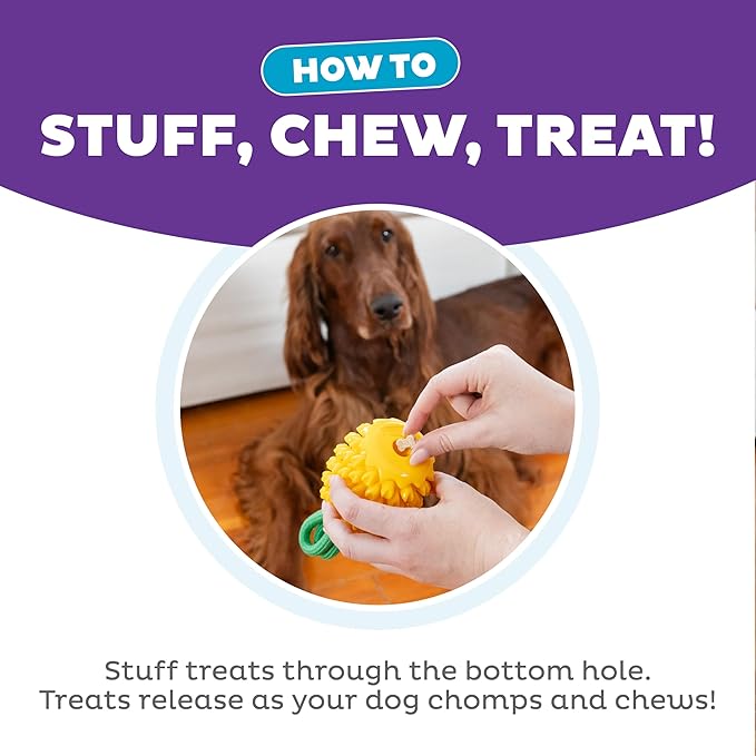 Outward Hound Dental Pineapple Dog Toy & Treat Stuffer, 6.8″ x 3.3″ Pineapple-Scent Interactive Chew for Dogs, Promote Healthy Teeth, Gums & Mental Enrichment, Reduce Boredom & Support Dental Health