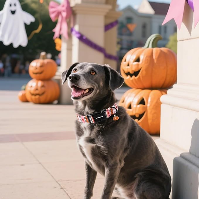 DOGWONG Fall Dog Collar- Pink Halloween Dog Collars Adjustable Classic Halloween Dog Collar for Small Medium Large Dogs L