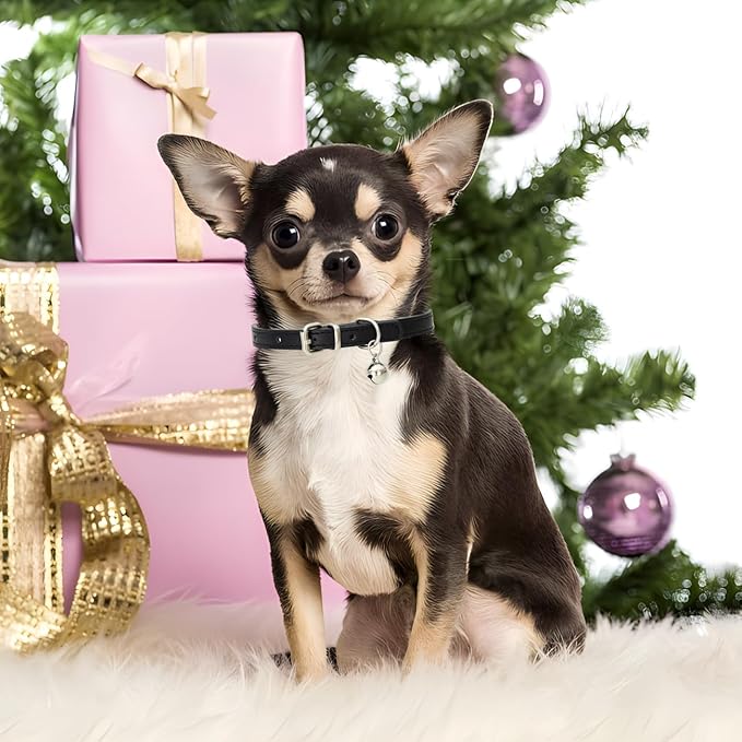 White Cat Collar with Bell, Soft Pu Leather Small Dog Collars Adjustable Buckle for XXS XS Extra Small Medium Tiny Female Male Boys Girls Pets Puppy Kitten Teacup Yorkie XX-Small