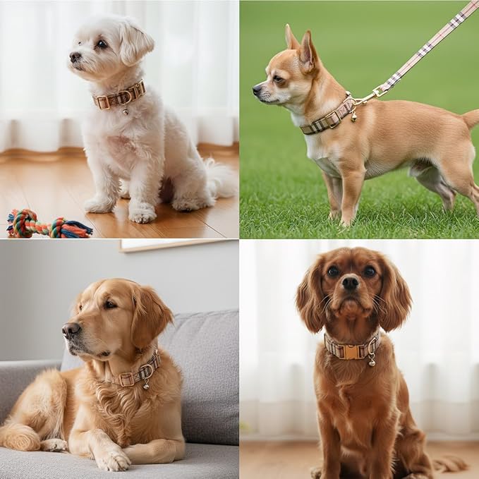 Yizepet Dog Collar and Leash- Adjustable pet Collar for Dogs with Metal Buckle Collar, Stylish Pattern for Small Medium or Large Boy and Girl Dog and Cat