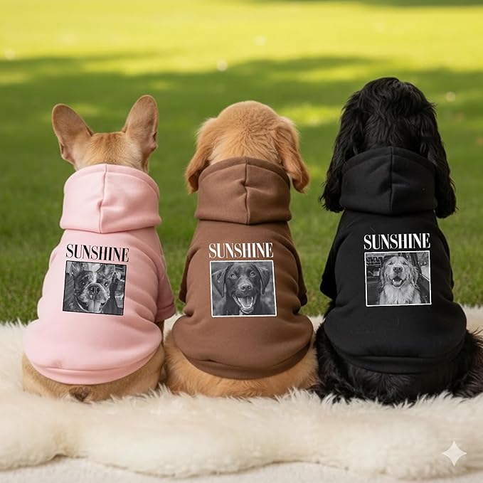 Personalized Name Dog Hoodie, Print Hoodies Pets Name, Custom Pet Memorial, Bright Puppy Sweatshirt, Customized Pet Clothes Warm Winter Outfit for Dogs, Gift for Dog Lovers Style 5