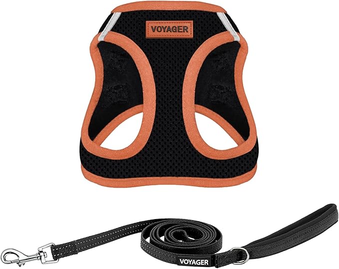 Best Pet Supplies Voyager Step-in Air All Weather Mesh Harness and Reflective Dog 5 ft Leash Combo with Neoprene Handle, for Small, Medium and Large Breed Puppies - Black/Orange Trim, X-Small
