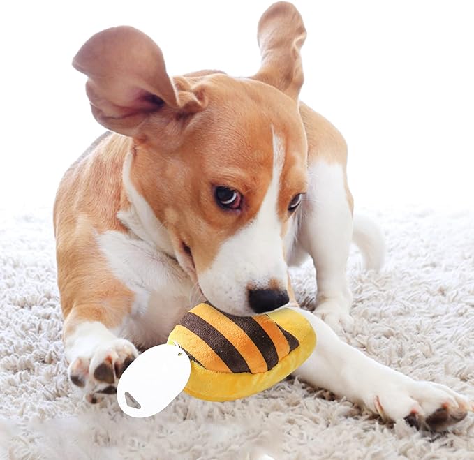 Puppy Chew Toys, Durable Fabric Soft Heavy Duty Dog Toy for Aggressive Chewers,Interactive Funny Cute Dog Toys Small Dogs for Small Medium Breeds Home Playing Indoor Anxiety Relief Puppy Teething