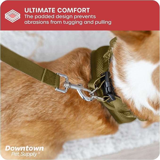 Downtown Pet Supply Step in Dog Harness No Pull, X-Large, Hunter Green - Adjustable Harness with Padded Mesh Fabric and Reflective Trim - Buckle Strap Harness for Dogs