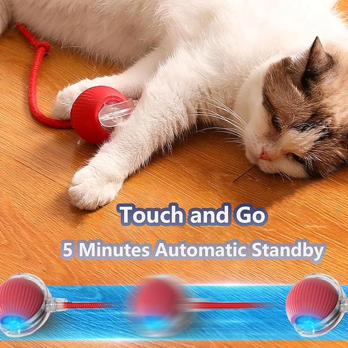 Interactive Cat Toys for Indoor Cats, Agility Move Cat Balls,Motion Activated Cat Balls, Cat Toys for Bored Indoor Cats(3 pcs Colors)