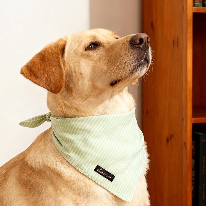 ARING PET Summer Dog Bandana, Cute Green Bandanas, Comfortable Pet Scarf Triangle Bibs for Puppy Small Medium Large Boy Girl Dogs and Cats