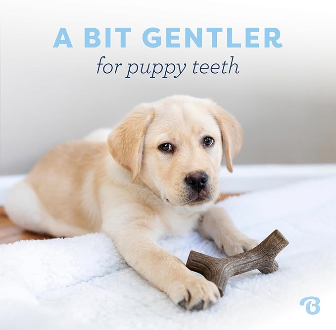 Benebone Puppy Maplestick Dog Chew Toy, Made in USA, Real Maple Wood Flavor, Small, Brown