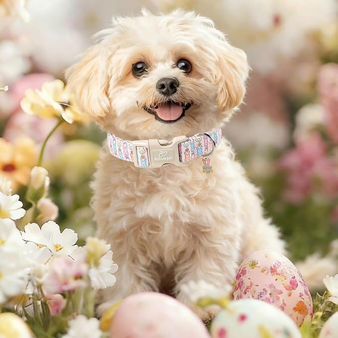 Easter Dog Collar for Large Dogs - Pastel Bunny Easter Collars for Female Dogs, Cute Spring Girl Dog Collar, Lightweight Adjustable Cartoon Holiday Pet Collars L