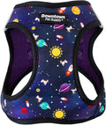 Downtown Pet Supply Step-in Dog Harness – No Pull, Adjustable Padded Mesh with Reflective Trim, Secure Buckle Strap – Comfortable & Breathable Small Dog Harness, XX-Small, Space