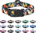 Mercano Adjustable Dog Collar - Special Design Patterns, Soft Nylon Comfortable Sturdy Pet Collar for Small Medium Large Dogs (XS, Floral Orange)