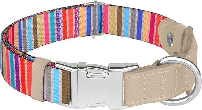 AirTag Dog Collar for Small Medium Large Breed - Adjustable Cute Pattern Dog Collar with Airtag Holder - Soft Leather Tracker GPS Apple Air Tag Pet Collars (Small, 12"-15" Neck Fit, Serape)