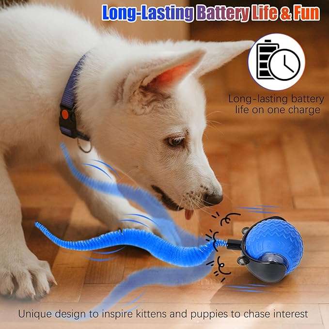 2PCS Interactive Cat Toy for Indoor Cats, Speedy Ball with Tail, Automatic Moving Cat Balls for Bored Indoor Adult Cats, Two Speed Adjustment,360°Automatic Rolling Ball Toy (Blue+Orange)