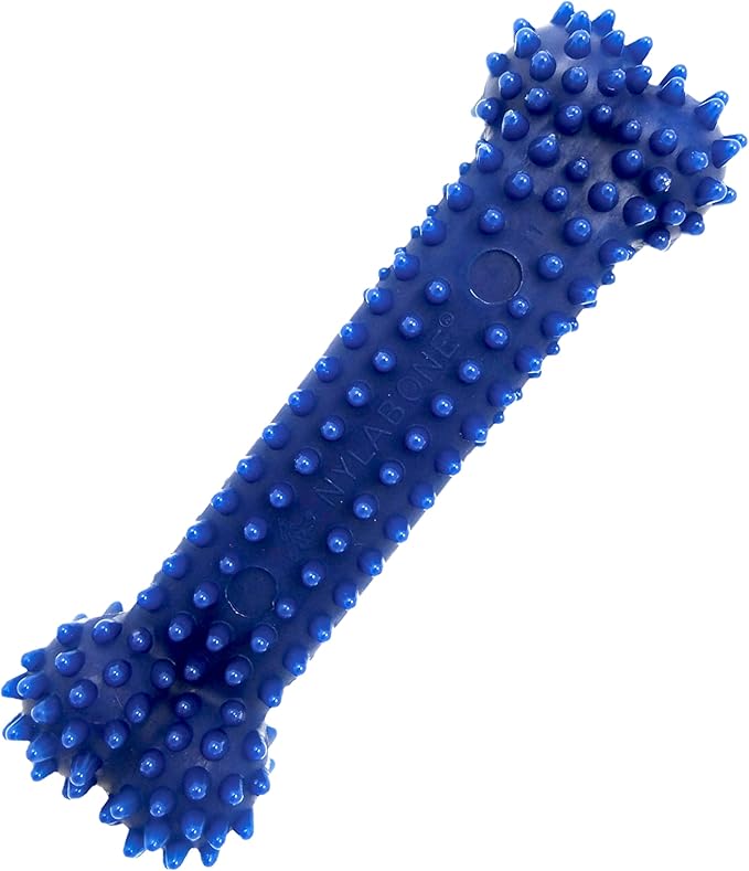 Nylabone Textured Dental Bone Flexi Chew Toy for Dogs, Dog Toys for Moderate Chewers, Chicken Flavor, Medium - Up to 35 lbs, 1 Count