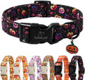Halloween Dog Collar Spooky Fun Pumpkin Puppy Collar - Light Comfortable Adjustable Pet Collars for Small Medium Large Girl Boy Dogs XS